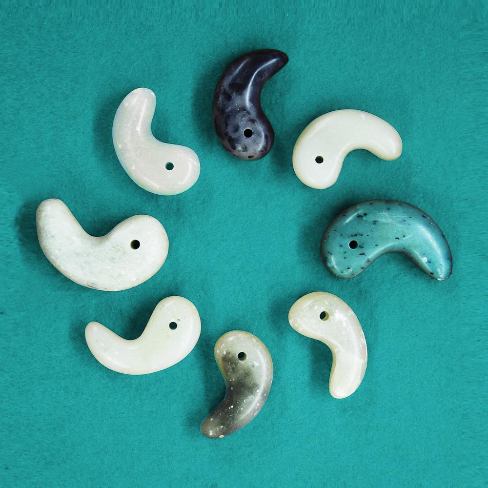 水子貝塚公園・資料館の最新情報 | ココシル☆ふじみ