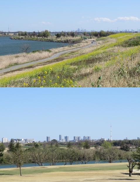 南畑排水樋管あたりの荒川土手 | ココシル☆ふじみ