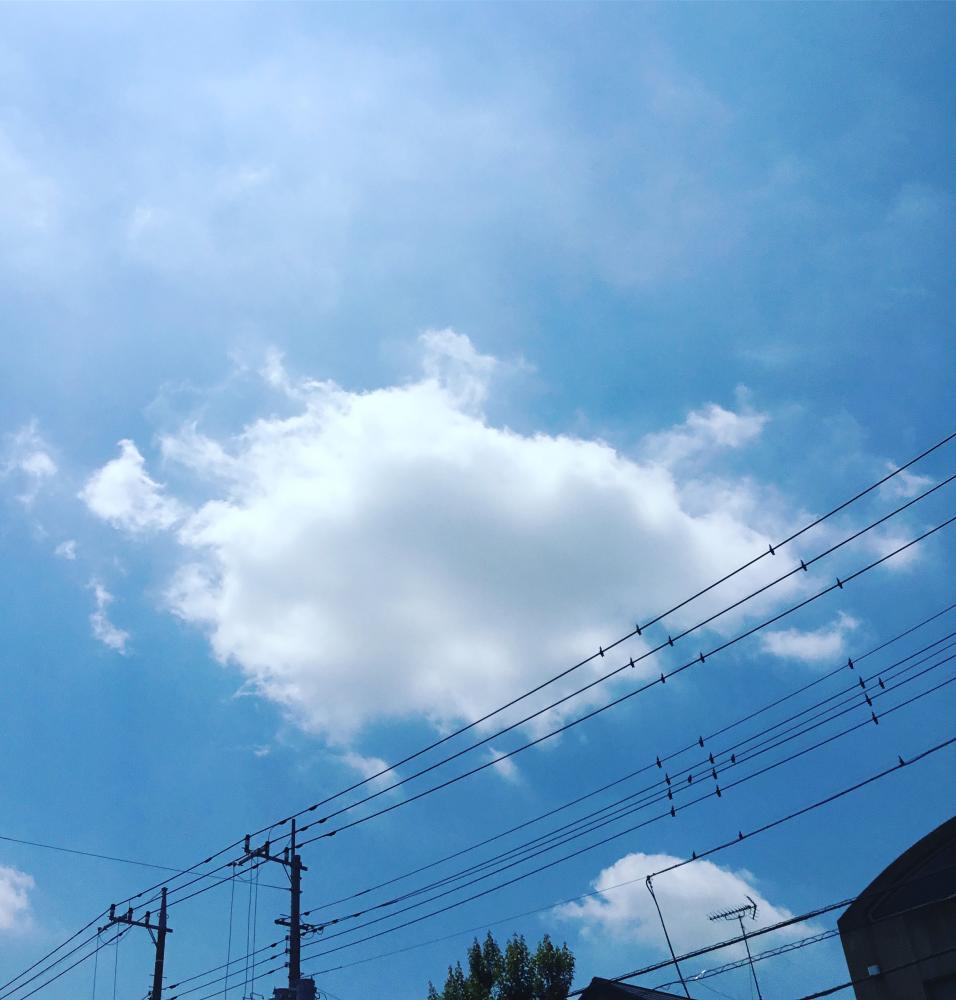8D8800F4-2370-4E10-8647-AFF94341A21D.jpeg